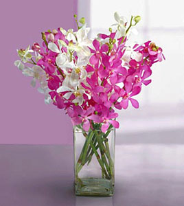 Feira da Primavera do Patronato S. Sebastião