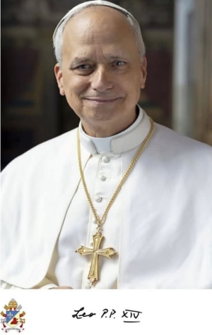 Salve, Salve, Santo Padre